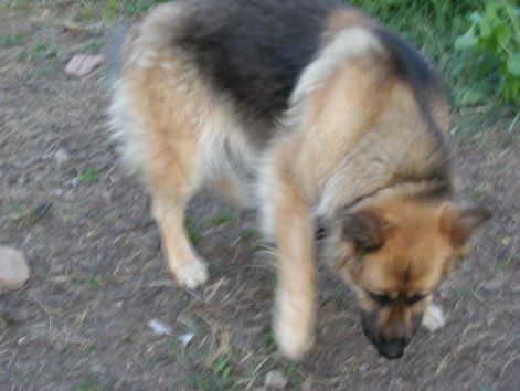 dscn1909.jpg dscn1909.jpg